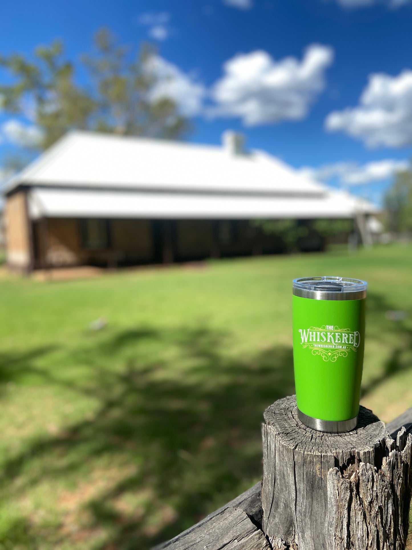 Insulated mugs