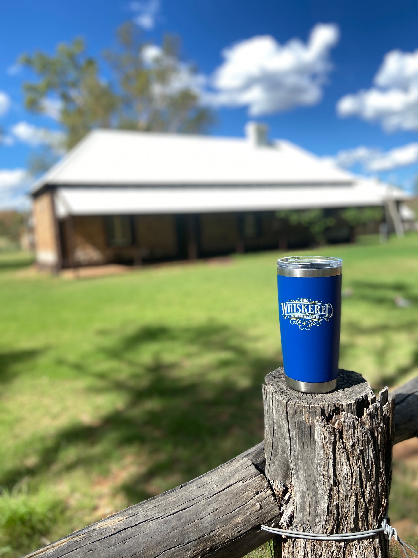 Insulated mugs